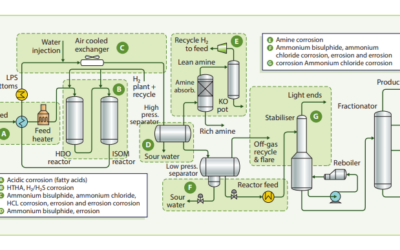 Managing Biofuel Processing Corrosion Risks